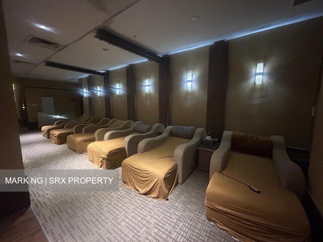 Furama Riverfront (D3), Retail #622248201